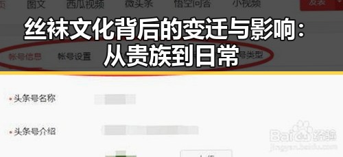 丝袜文化背后的变迁与影响：从贵族到日常